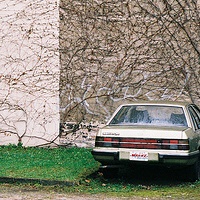 清风11用户头像