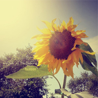 sang1740730736用户头像