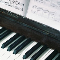 大仲马23283066用户头像