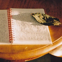 可爱多用户头像