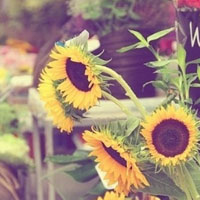 朱秋莲用户头像