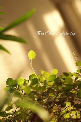 zuoshouyoushou用户头像