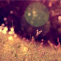 asss36071用户头像