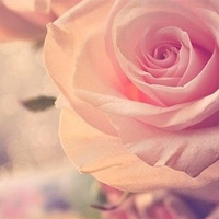 维权进行时用户头像