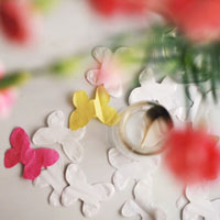 fanlishi用户头像