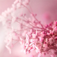 康美炎用户头像