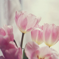 翺北展览用户头像