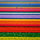 鹰眼智客用户头像