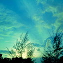 徐凌峰用户头像