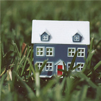 中律法律用户头像