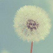 华云天下用户头像