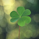 张慧杰用户头像