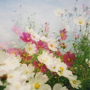 子雾法援用户头像