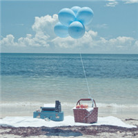 上海正仁用户头像