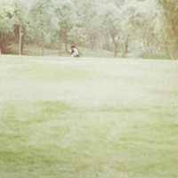 gujiushu用户头像