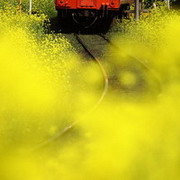 咱也玩互联网用户头像