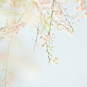 陈荣顺用户头像