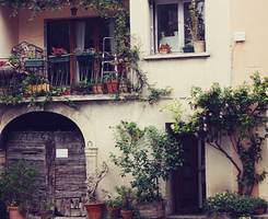 杨梓桐用户头像