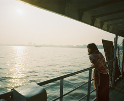 专注健康的兔兔用户头像