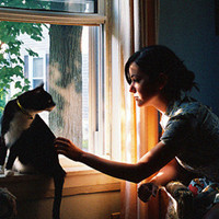 wuzhanjun用户头像