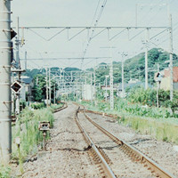 李正旺用户头像