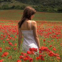 刘建宏用户头像