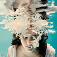 与你听风声用户头像