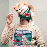 酷到乏味用户头像