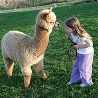 江佳穗用户头像