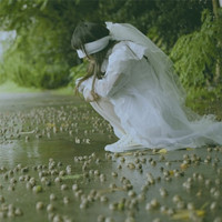 mskfirst用户头像