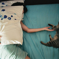 Robertwaf用户头像