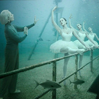 dBIyAFipKjvl用户头像