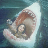 Everettdyego用户头像